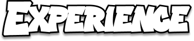 Experience